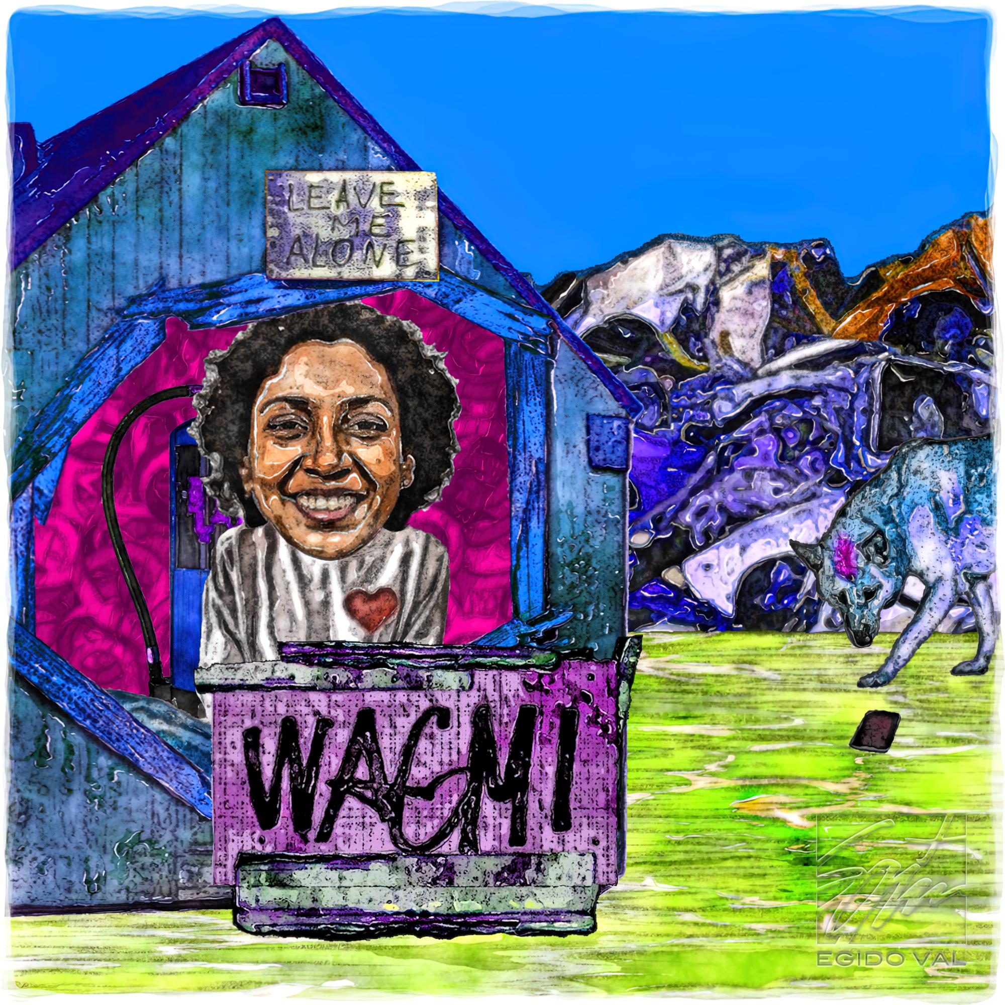 wdc: 5538